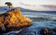 Evening Light on Lone Cypress Tree at Pebble Beach Fine Art Print by Michael Howell