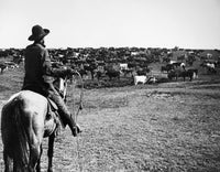 Kansas Cattle Herding Photo Print from 1900 by Granger Collection