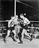 The Dempsey-Newman Fight Fine Art Print - Jack Dempsey 1925