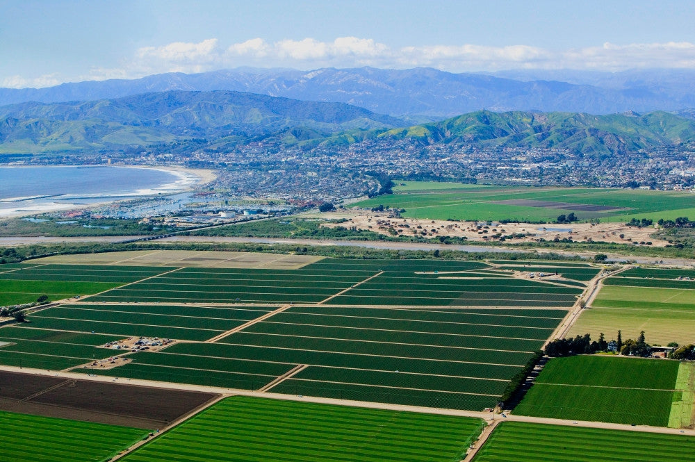 Aerial View of Oxnard Farm Fields in Spring Fine Art Print by Panoramic Images