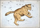 Astronomy Chart of Ursa Major Constellation - Fine Art Print by Sidney Hall