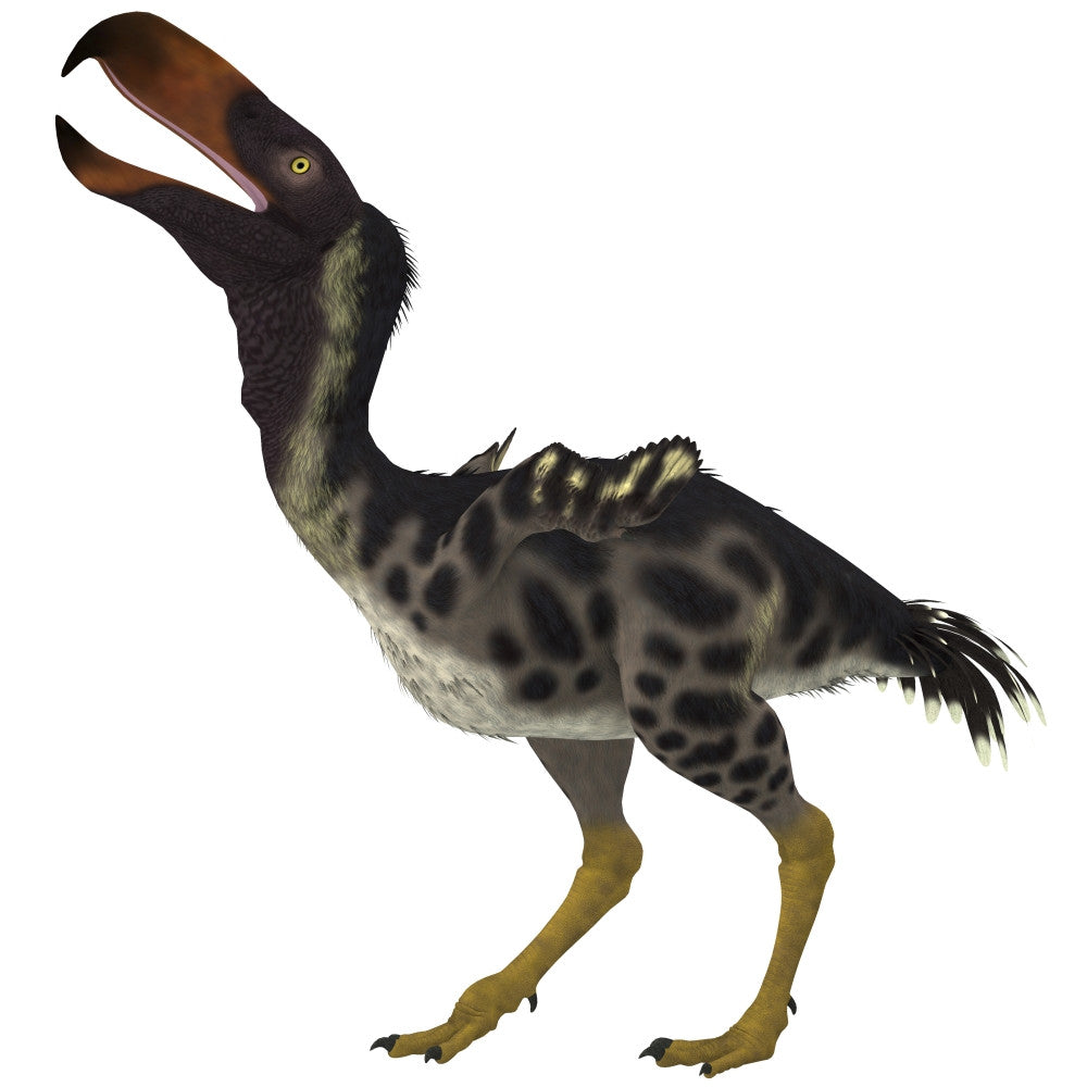 Kelenken Terror Bird Fine Art Print - Extinct Giant Predator