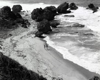 Barbados Fine Art Poster Print - Custom Sizes Available