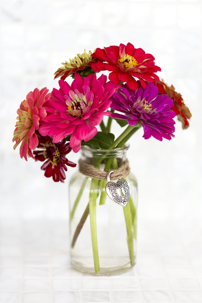 Zinnia Flowers in Glass Vase Fine Art Print by Lorna Rande