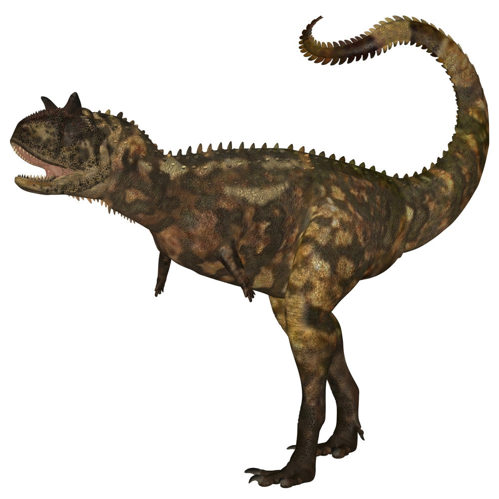 Carnotaurus Dinosaur Fine Art Print - Cretaceous Period