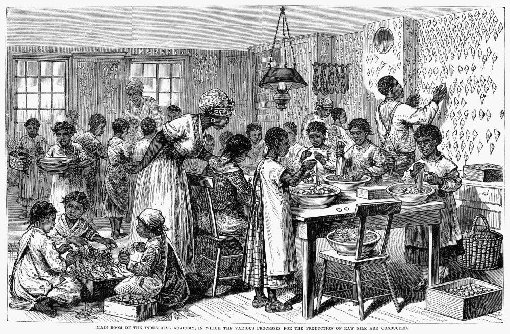 Alabama Silk Industry Fine Art Print - Historical Scenes