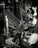 High Angle View of Male Workers Operating Linotype Machines - New York World Telegraph Poster Print