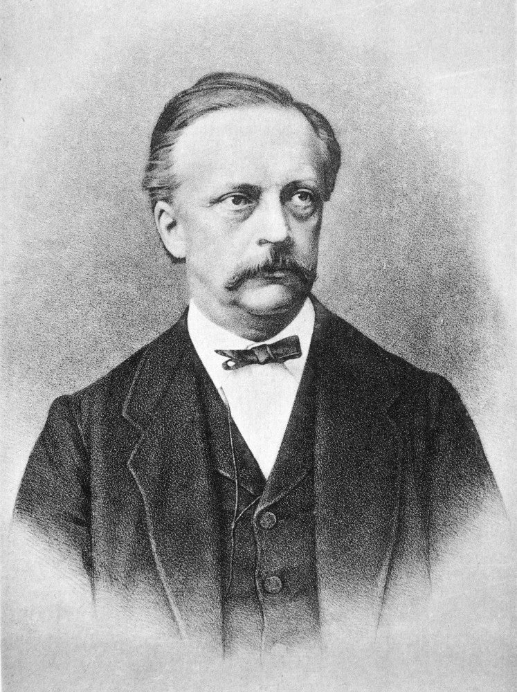 Hermann Von Helmholtz Fine Art Print by Granger Collection