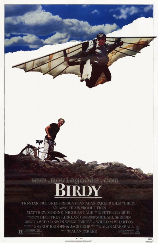 Birdy Movie Poster Print (27x40) | Posterazzi