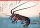 Japanese Spiny Lobster & Prawns Fine Art Print by Hiroshige