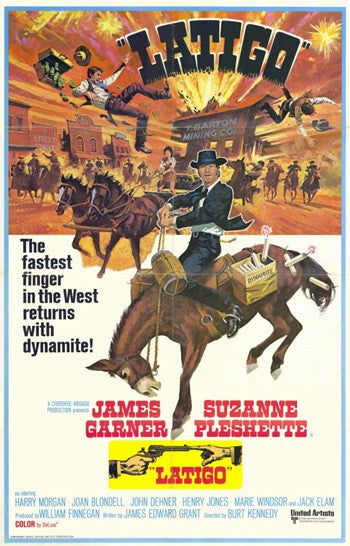 Support Your Local Gunfighter Movie Poster (11x17)