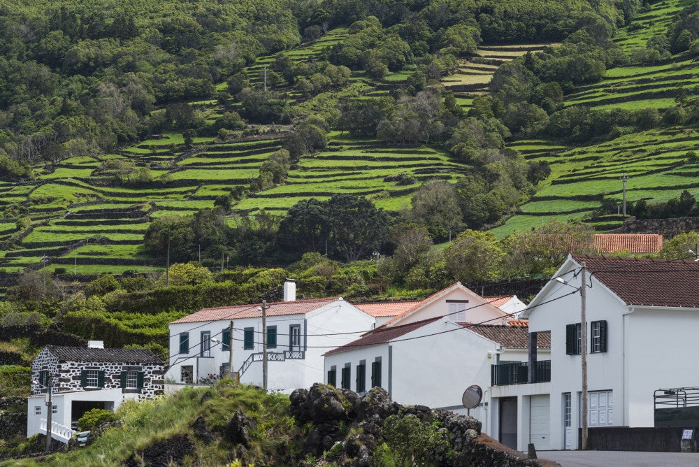 Portugal Azores Pico Island Santo Amaro Town View Print by Walter Bibikow