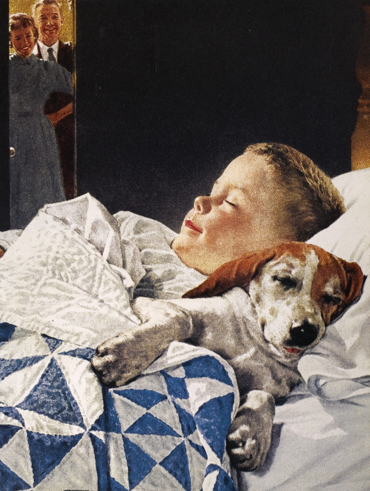 Friskies Dog Food Advertisement Fine Art Print - 1956
