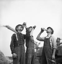 Michigan Farmers Drinking Beer in Jackson, 1941 - Fine Art Print by Arthur S. Siegel