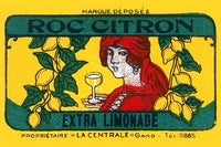 Vintage Hard Lemonade Advertisement Fine Art Print