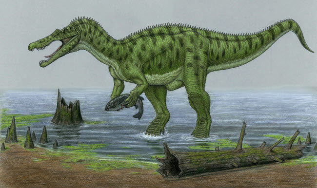 Baryonyx Walkeri Dinosaur Catching Fish Fine Art Print by Heraldo Mussolini