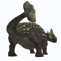 Rear View of Ankylosaurus Fine Art Print by Corey Ford