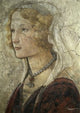 Young Woman Receives Gifts from Venus & the Three Graces Fine Art Print by Sandro Botticelli