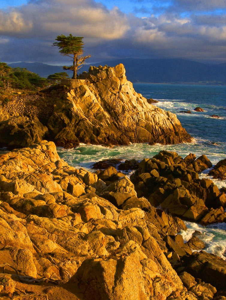 Lone Cypress at Pebble Beach Fine Art Print by Panoramic Images