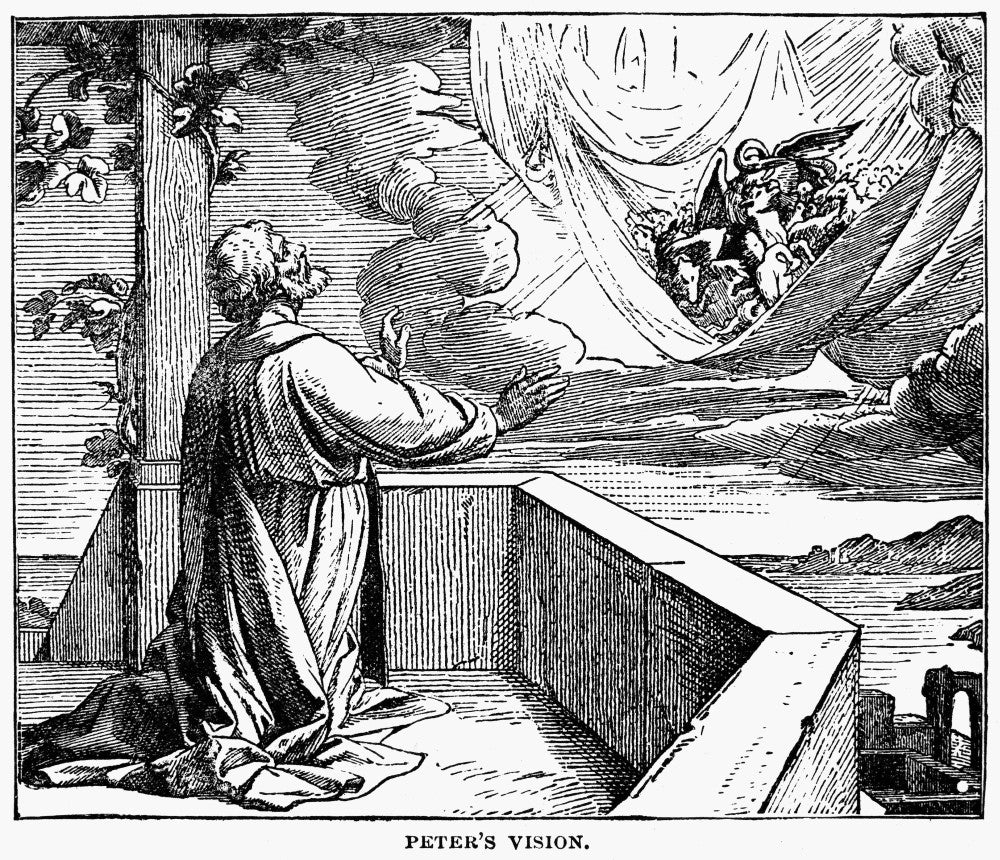St. Peter's Vision Fine Art Print by Granger Collection