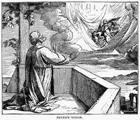 St. Peter's Vision Fine Art Print by Granger Collection