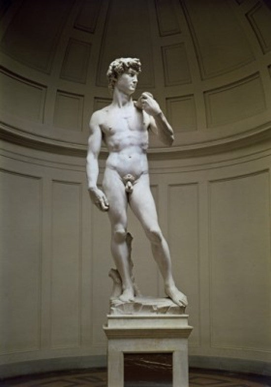 Michelangelo's David Marble Fine Art Print - Academy of Fine Arts