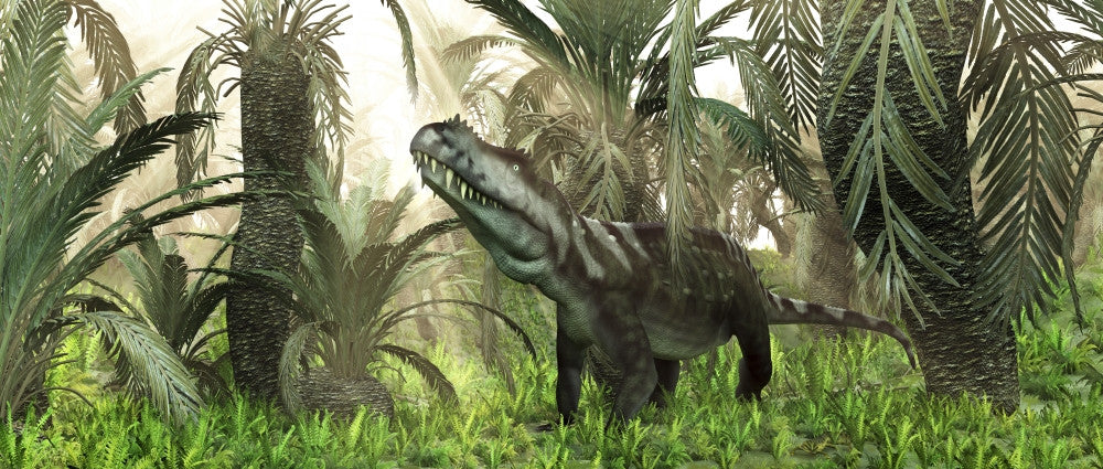 Archosaur in Prehistoric Swamp Fine Art Print - Cycads & Ferns