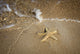 Maui Beach Starfish and Wave Fine Art Print by Jenna Szerlag