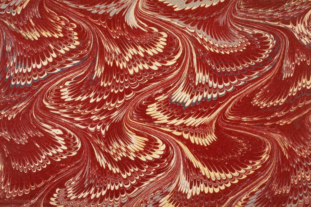 Decorative Endpaper Fine Art Print from a 19th Century Book