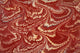 Decorative Endpaper Fine Art Print from a 19th Century Book