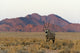 Gemsbok in Southern Namib Desert Fine Art Print by Keren Su