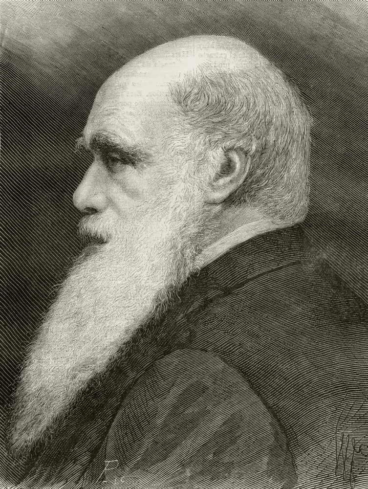 Charles Darwin Fine Art Print - Nuestro Siglo 1883