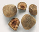 Bezoar Stones Medieval Antidote for Poisoning Fine Art Print