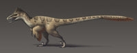 Utahraptor ostrommaysorum Fine Art Print - The Largest Dromaeosaur