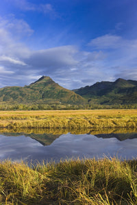 Tidal Slough and Mountain Scenic Fine Art Print - Kodiak Island
