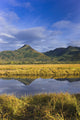 Tidal Slough and Mountain Scenic Fine Art Print - Kodiak Island