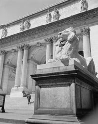 New York Public Library Lion Sculpture Poster Print