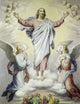 The Ascension Fine Art Print by Heinrich Hoffman