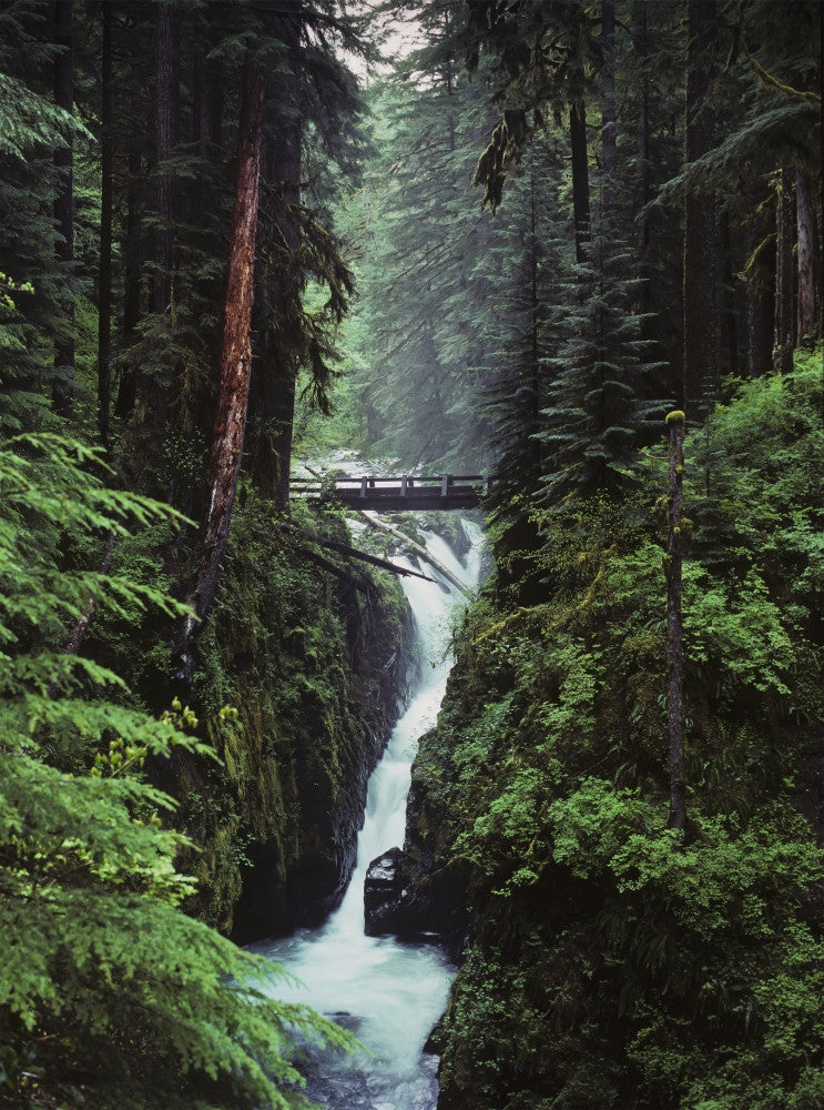 Sol Duc Falls Fine Art Print by Robert L. Potts - Forks, WA