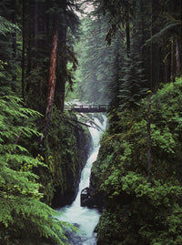 Sol Duc Falls Fine Art Print by Robert L. Potts - Forks, WA