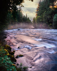 McKenzie River in Willamette National Forest Fine Art Print by Panoramic Images