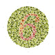 Ishihara Color Blindness Test Fine Art Print by Science Source