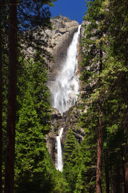 Yosemite Falls Landscape Fine Art Print by Dennis Flaherty | Jaynes Gallery
