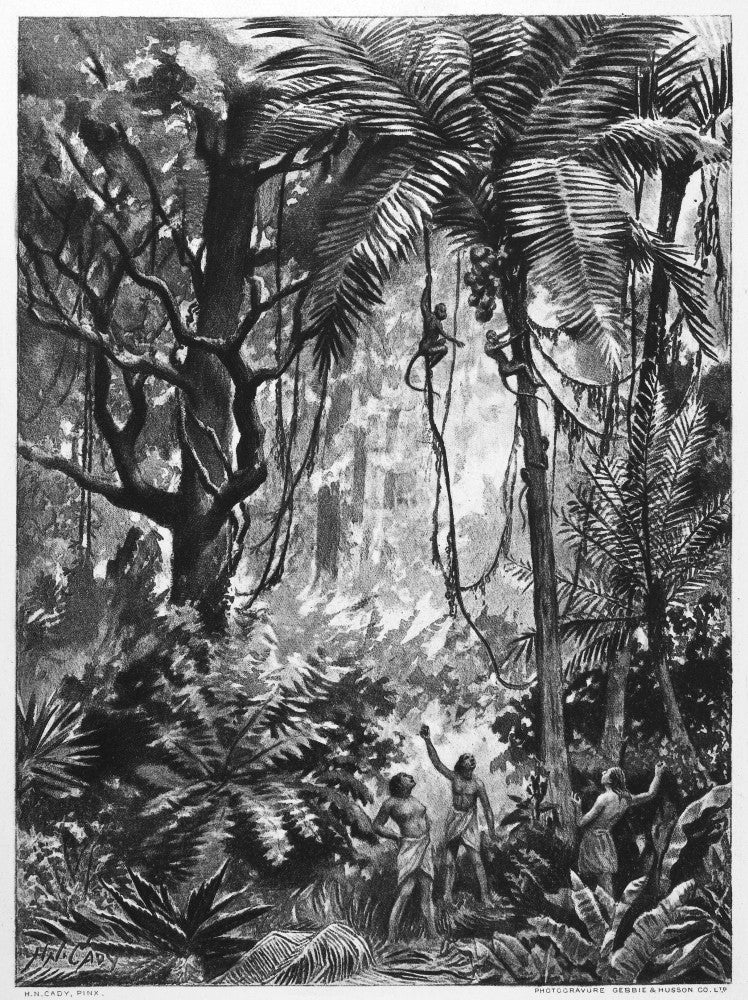 Brazil: Forest Indians Photogravure Print - Native Brazilians with Monkeys