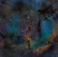 IC 1396 Elephant Trunk Nebula Fine Art Print by Michael Miller