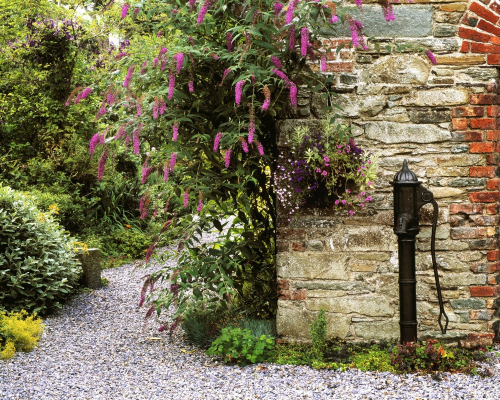 Old Water Pump Fine Art Print - Ram House Garden, Ireland
