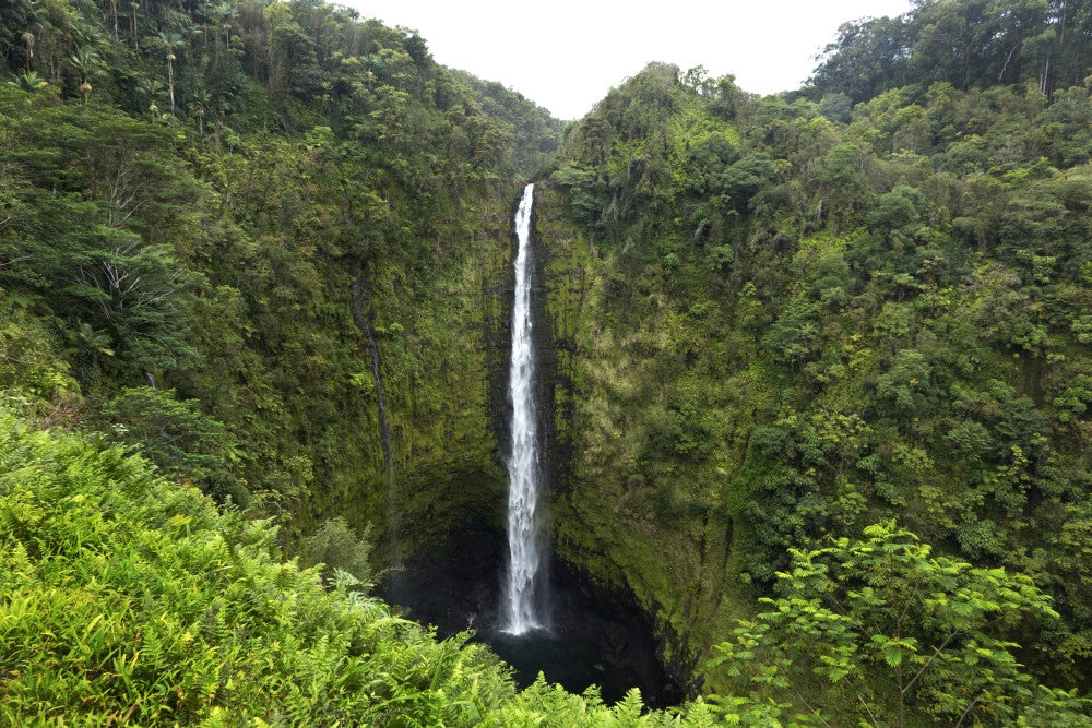 Akaka Falls, Hawaii Fine Art Print by Gayle Harper