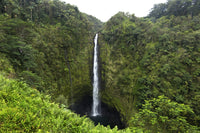 Akaka Falls, Hawaii Fine Art Print by Gayle Harper