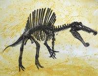 Spinosaurus Dinosaur Skeleton Fine Art Print on Textured Background