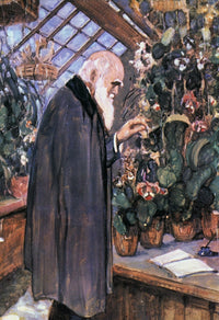 Charles Darwin in the Greenhouse at Down House Poster Print